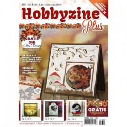 Hobbyzine Plus 14